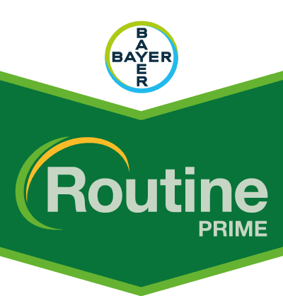 Routine® PRIME SC 200