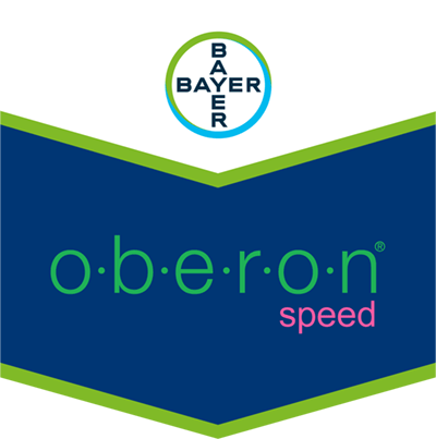 Oberon® Speed