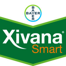 Xivana