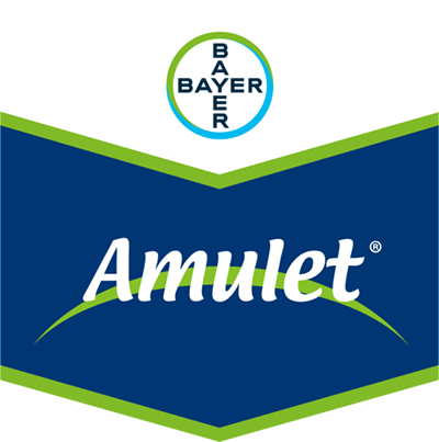 Amulet®