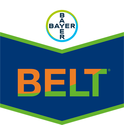 Belt® SC 480
