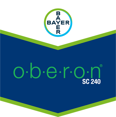 Oberon® SC 240