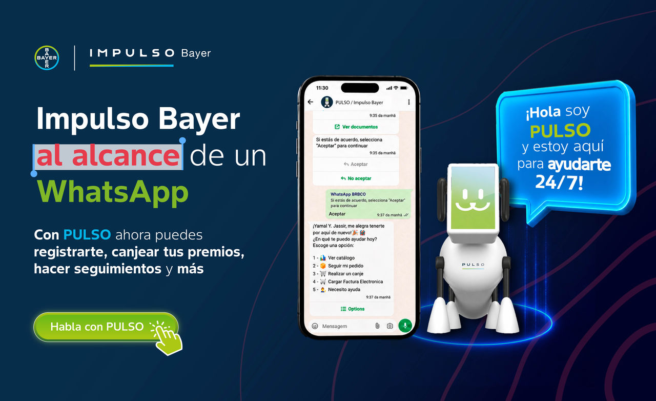 Lanzamiento Chatbot