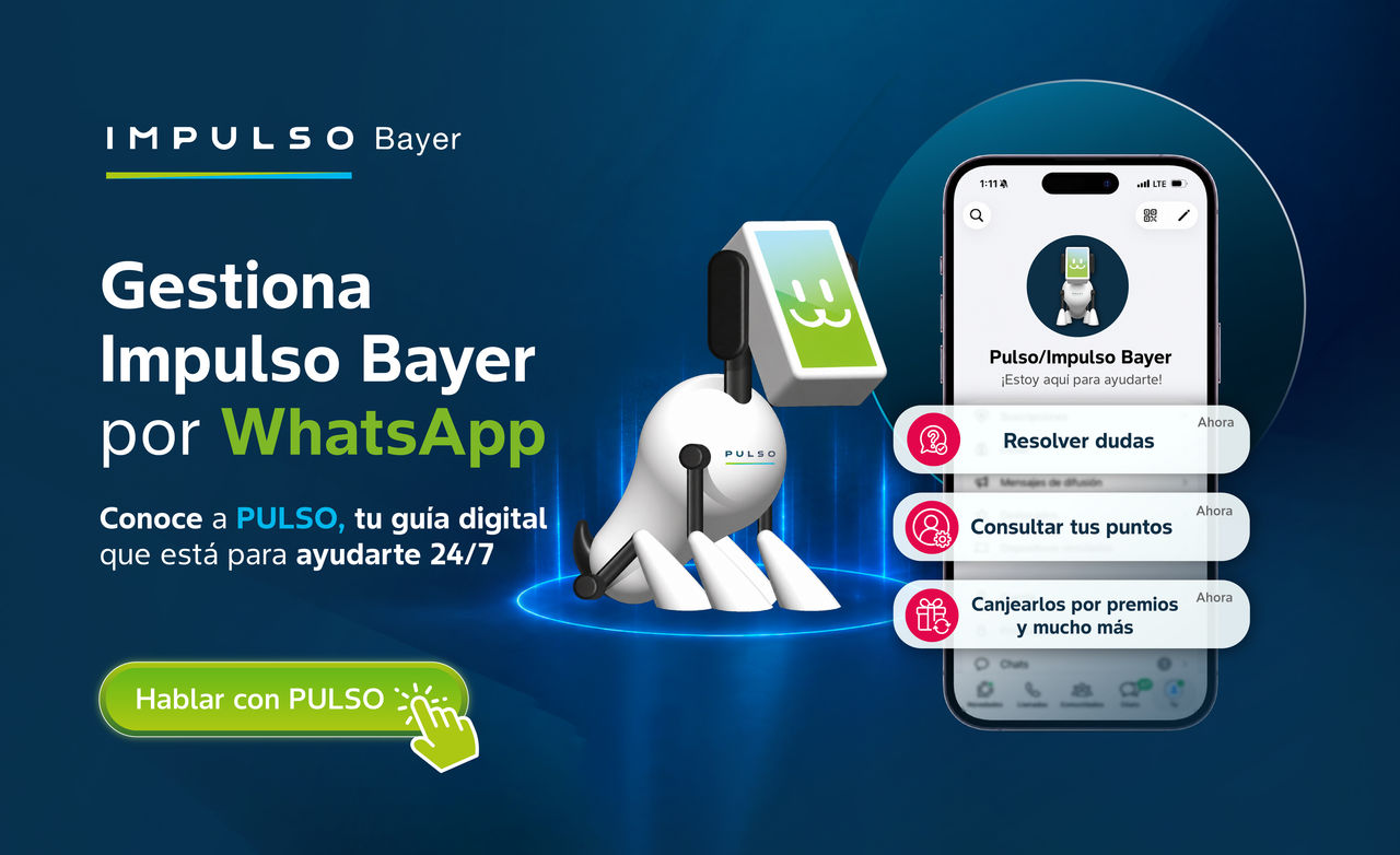 Lanzamiento Chatbot