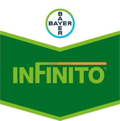 Infinito