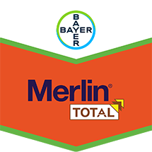 Merlin Total
