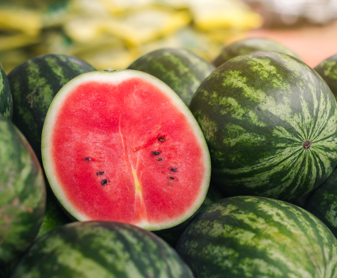 bayer protected chile plants