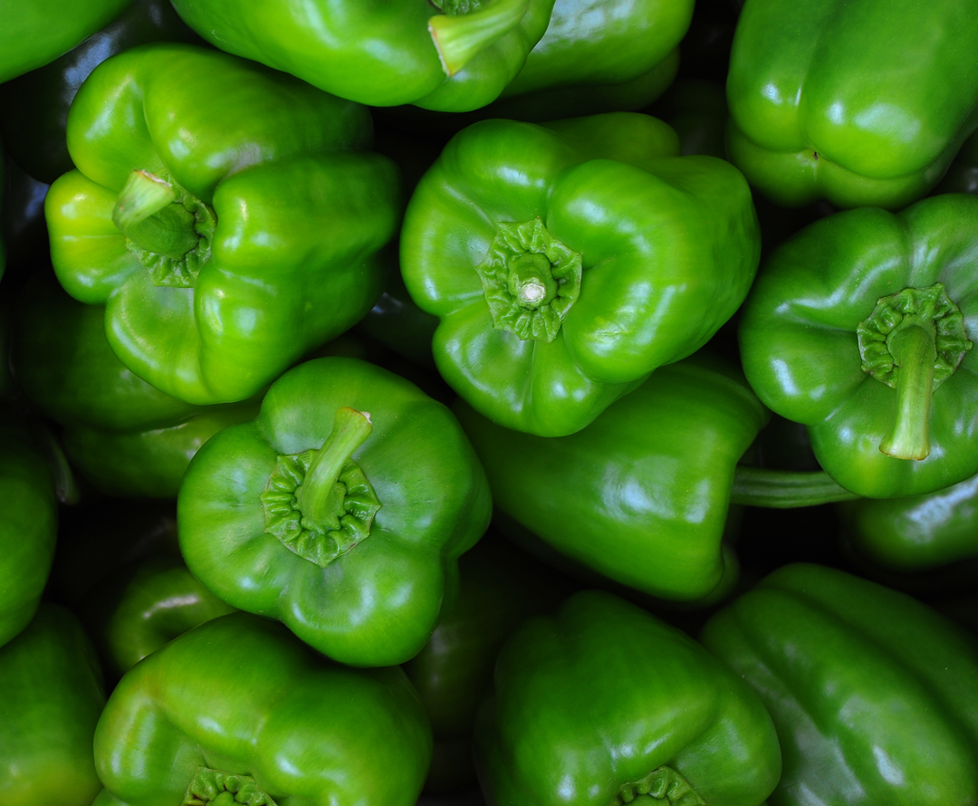 bayer protected tomate